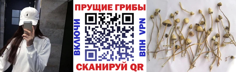 Галлюциногенные грибы ЛСД  Усолье 